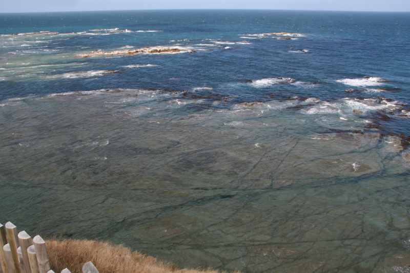 Nieuw-Zeeland 2011 - 1118